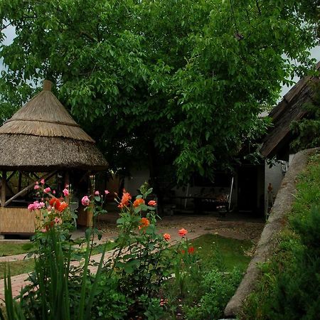 Natura Vendeghaz Pazmand Zewnętrze zdjęcie